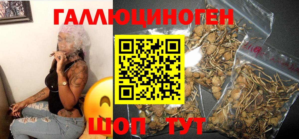 Псилоцибиновые грибы мухоморы Чусовой