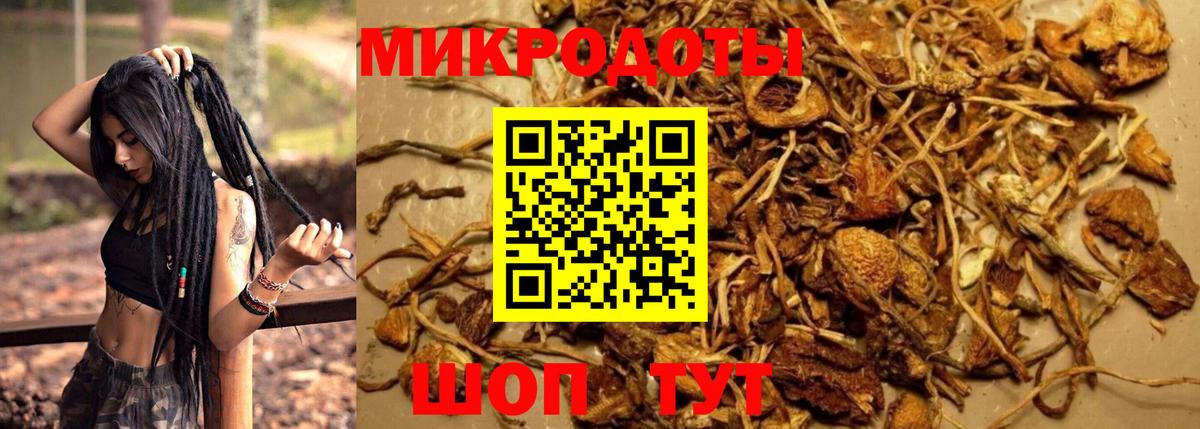 Галлюциногенные грибы Cubensis  Галлюциногенные грибы Psilocybine cubensis  наркошоп  Вход с VPN  Чусовой 